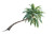 Tropical Palm Tree Vinyl Car Decal Sticker – Waterproof & UV-Resistant 