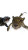 Skydiving Leopard Adventure Vinyl Car Decal Sticker – Waterproof & UV-Resistant 