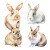 Cute Rabbits Illustration Vinyl Car Decal Sticker – Waterproof & UV-Resistant 
