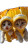 Kittens In Banana Costumes Vinyl Car Decal Sticker – Waterproof & UV-Resistant 
