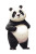 Cute Friendly Panda Vinyl Car Decal Sticker – Waterproof & UV-Resistant 