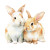 Cute Rabbits Illustration V2 Vinyl Car Decal Sticker – Waterproof & UV-Resistant 