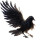 Majestic Black Crow Vinyl Car Decal Sticker – Waterproof & UV-Resistant 
