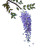 Wisteria Branch Close-Up Vinyl Car Decal Sticker – Waterproof & UV-Resistant 