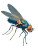 Cochliomyia Attack Vinyl Car Decal Sticker – Waterproof & UV-Resistant 