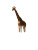 Giraffe In Thailand Vinyl Car Decal Sticker – Waterproof & UV-Resistant 