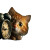 Cat-Alarm Clock Vinyl Car Decal Sticker – Waterproof & UV-Resistant 