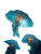 Trash Jellyfish Vinyl Car Decal Sticker – Waterproof & UV-Resistant 