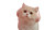 Gaming Kitten Nene Vinyl Car Decal Sticker – Waterproof & UV-Resistant 