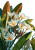 Blooming Frangipani Art Vinyl Car Decal Sticker – Waterproof & UV-Resistant 