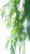 Green Willow Tree V2 Vinyl Car Decal Sticker – Waterproof & UV-Resistant 
