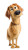 Golden Retriever Character V9 Vinyl Car Decal Sticker – Waterproof & UV-Resistant 