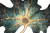 Neuron With Flora Vinyl Car Decal Sticker – Waterproof & UV-Resistant 