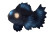 Abyssal Coelacanth Vinyl Car Decal Sticker – Waterproof & UV-Resistant 
