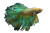 Majestic Betta Fish V3 Vinyl Car Decal Sticker – Waterproof & UV-Resistant 