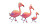 Flamingo Family Walk Vinyl Car Decal Sticker – Waterproof & UV-Resistant 