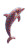 Jelly Bean Dolphin Vinyl Car Decal Sticker – Waterproof & UV-Resistant 