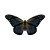 Wizard Monarch Butterfly Vinyl Car Decal Sticker – Waterproof & UV-Resistant 