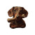 Dachshund Chewing Bone Vinyl Car Decal Sticker – Waterproof & UV-Resistant 6.826666666666667"