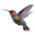 Colorful Hummingbird V3 Vinyl Car Decal Sticker – Waterproof & UV-Resistant 6.826666666666667"