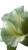 Pale Green Hibiscus Vinyl Car Decal Sticker – Waterproof & UV-Resistant 4.8533333333333335"