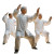 Tai Chi Garden Vinyl Car Decal Sticker – Waterproof & UV-Resistant 3.4133333333333336"
