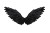Black Angel Wings V4 Vinyl Car Decal Sticker – Waterproof & UV-Resistant 2.986666666666667"
