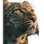 Majestic Leopard Portrait Vinyl Car Decal Sticker – Waterproof & UV-Resistant 3.4133333333333336" Majestic Leopard Portrait Vinyl Car Decal Sticker – Waterproof & UV-Resistant 3.4133333333333336"
