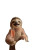 Pink Sloth Café Vinyl Car Decal Sticker – Waterproof & UV-Resistant 4.4