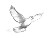 Dove In Flight Vinyl Car Decal Sticker – Waterproof & UV-Resistant 6.1866666666666665"
