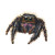 Jumping Spider Drawing Vinyl Car Decal Sticker – Waterproof & UV-Resistant 6.826666666666667"