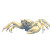 Giant Troll Crab Vinyl Car Decal Sticker – Waterproof & UV-Resistant 6.826666666666667"