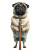 Pug With Leash Vinyl Car Decal Sticker – Waterproof & UV-Resistant 4.1066666666666665"
