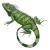 Green Leguan Crawling Vinyl Car Decal Sticker – Waterproof & UV-Resistant 6.826666666666667"
