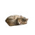 Cozy Cat In Box Vinyl Car Decal Sticker – Waterproof & UV-Resistant 3.4133333333333336"
