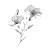 Botanical Sketch Vinyl Car Decal Sticker – Waterproof & UV-Resistant 3.4133333333333336"