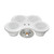 Securely Hold Drinks Anywhere | SeaSucker Cup Holder - White | Holds 4 Cans, Water Bottles, Tumblers
