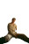 Male Model Editorial V2 Vinyl Car Decal Sticker – Waterproof & UV-Resistant 4.4