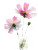 Pink Watercolor Flowers Vinyl Car Decal Sticker – Waterproof & UV-Resistant 4.1066666666666665"