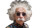 Einstein Crowd Chaos Vinyl Car Decal Sticker – Waterproof & UV-Resistant 5.4