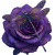 Sparkling Dragonfly Rose Vinyl Car Decal Sticker – Waterproof & UV-Resistant 3.4133333333333336"
