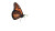 Monarch Butterfly V8 Vinyl Car Decal Sticker – Waterproof & UV-Resistant 2.72"