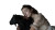 Sleeping Woman With Goat Vinyl Car Decal Sticker – Waterproof & UV-Resistant 5.4