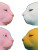 Cute Cats V2 Vinyl Car Decal Sticker – Waterproof & UV-Resistant 8.213333333333333"