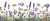 Botanical Flowers Vinyl Car Decal Sticker – Waterproof & UV-Resistant 4.693333333333333"