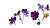Mountain Meadow Blooms Vinyl Car Decal Sticker – Waterproof & UV-Resistant 2.72"