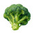 Broccoli Drawing Vinyl Car Decal Sticker – Waterproof & UV-Resistant 6.826666666666667"