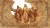 Divine Jesus Portrait V11 Vinyl Car Decal Sticker – Waterproof & UV-Resistant 5.4