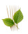 Toothpicks And Leaf Vinyl Car Decal Sticker – Waterproof & UV-Resistant 8.0"