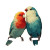 Lovebirds With Text Vinyl Car Decal Sticker – Waterproof & UV-Resistant 3.4133333333333336"